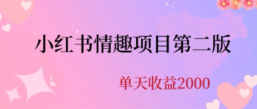 （6648期）最近爆火小红书情趣项目第二版，每天2000+插图