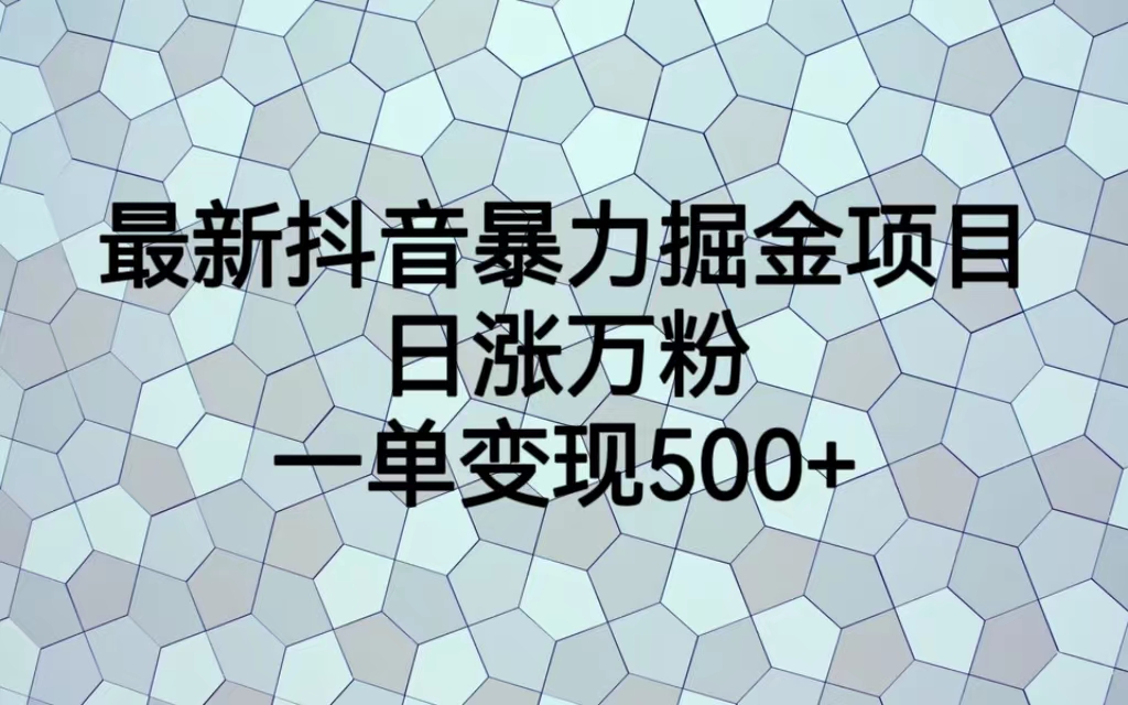 （6642期）最新抖音暴力掘金项目，日涨万粉，一单变现500+插图
