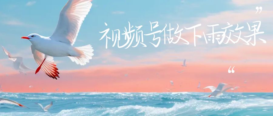 （6637期）视频号做下雨视频，一个账号一周涨粉10W+，日入1000+，附保姆级教程插图