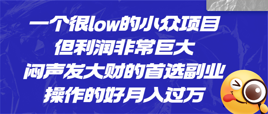 （6601期）一个很low的小众项目，但利润非常巨大，闷声发大财的首选副业，月入过万插图