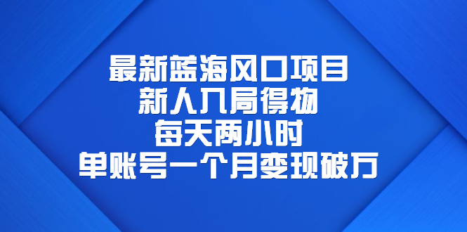 （6514期）最新蓝海风口项目，新人入局得物，每天两小时，单账号一个月变现破万插图