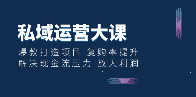 （6455期）私域运营大课：爆款打造项目 复购率提升 解决现金流压力 放大利润插图