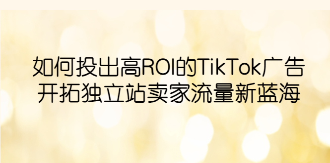 （6102期）如何投出高ROI·TikTok广告，开拓独立站卖家流量新蓝海插图