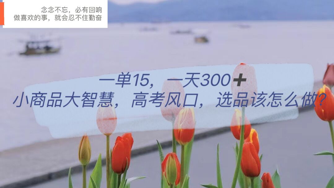 （6077期）一单15，一天300+，小商品大智慧，高考风口，选品该怎么布局插图