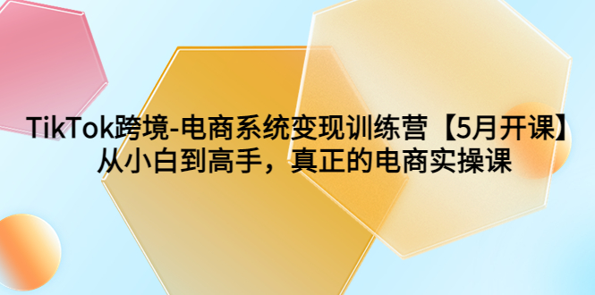 （6058期）TikTok跨境-电商系统变现训练营【5月新课】从小白到高手，真正的电商实操课插图