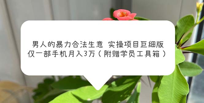 （5962期）男人的暴力合法生意实操项目巨细版：仅一部手机月入3w（附赠学员工具箱）插图