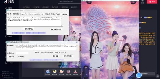 （5907期）最新电脑版抖音/快手/B站直播源获取+直播间实时录制+直播转播【软件+教程】插图1