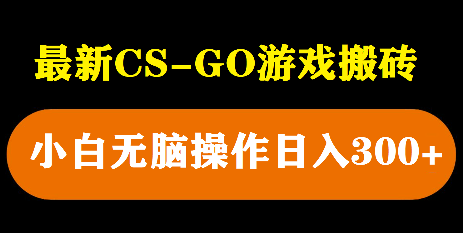（5760期）最新csgo游戏搬砖游戏，无需挂机小白无脑也能日入300+插图