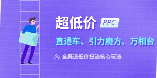 （5659期）2023超低价·ppc—“直通车、引力魔方、万相台”全渠道·低价扫流核心玩法插图