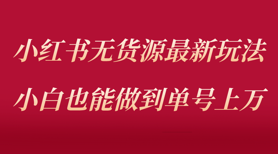（5646期）小红书无货源最新螺旋起号玩法，电商小白也能做到单号上万（收费3980）插图