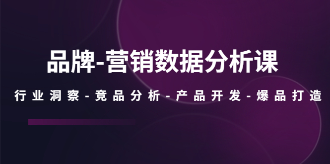 （5565期）品牌-营销数据分析课，行业洞察-竞品分析-产品开发-爆品打造插图