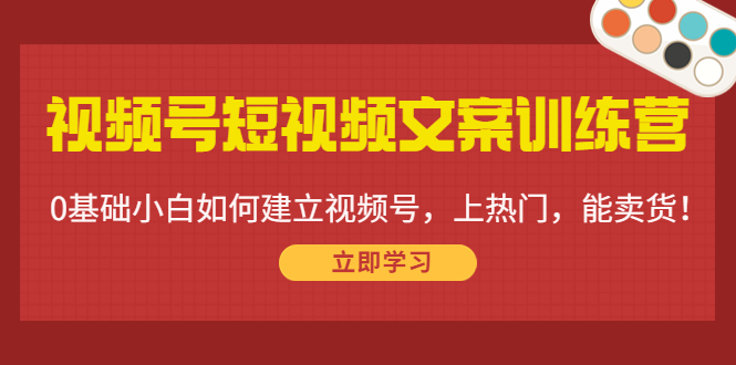 （4266期）视频号短视频文案训练营：0基础小白如何建立视频号，上热门，能卖货！插图
