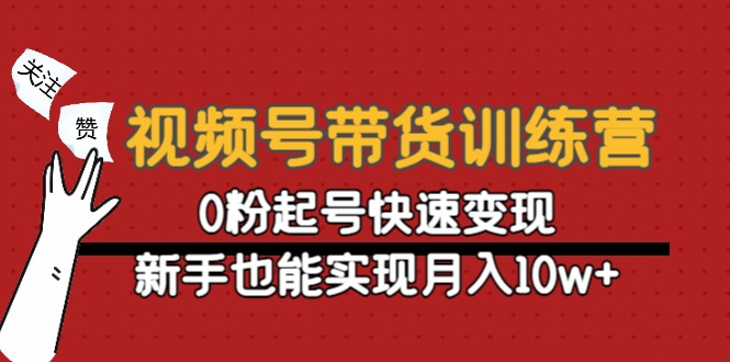 （4446期）视频号带货训练营：0粉起号快速变现，新手也能实现月入10w+插图