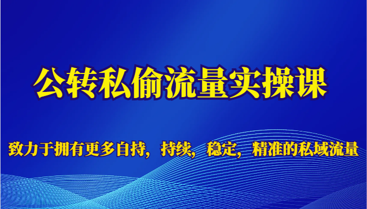 公转私偷流量实操课，致力于拥有更多自持，持续，稳定，精准的私域流量插图