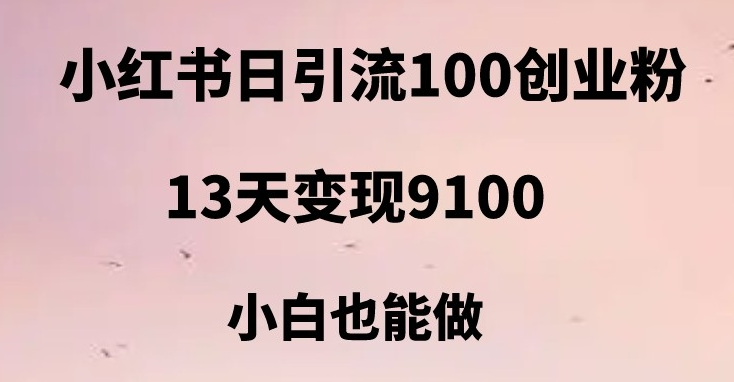 小红书日引流100+创业粉，13天变现9100，创业首选引流平台插图