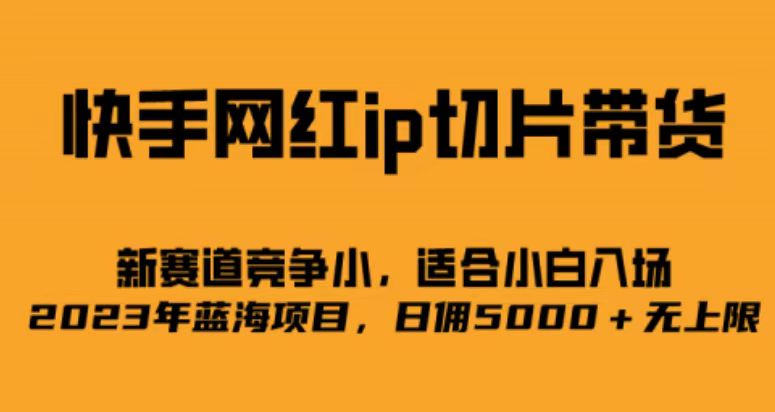 快手网红ip切片新赛道，竞争小，适合小白  2023蓝海项目插图