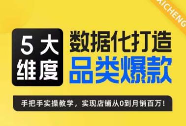 5大维度，数据化打造电商品类爆款特训营，一套高效运营爆款方法论插图