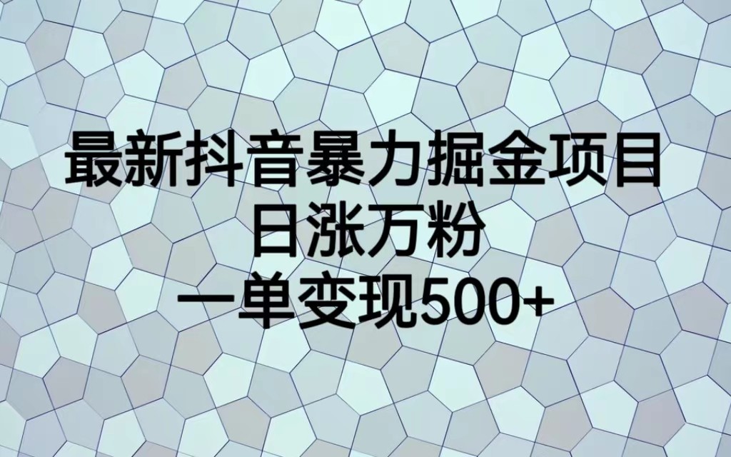 最新抖音暴力掘金项目，日涨万粉，一单变现500+插图