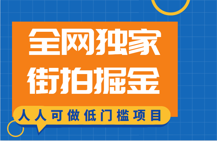 全网独家一街拍掘金，低门槛人人可做的赚钱项目插图