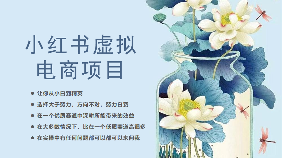 [小红书]小红书虚拟电商从0到1小白到精英（20节实操课程）插图