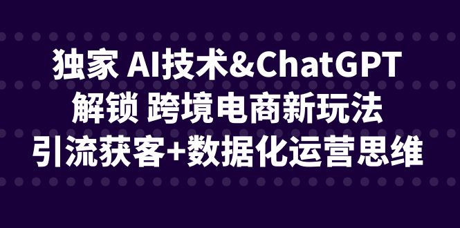 [跨境电商]独家 AI技术&ChatGPT解锁 跨境电商新玩法，引流获客+数据化运营思维插图