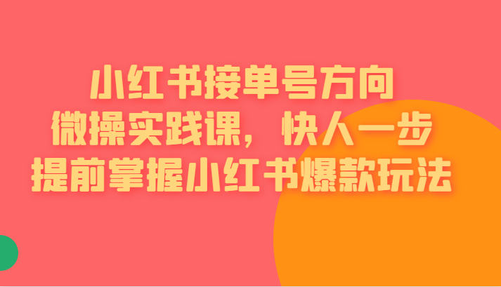 [小红书]小红书接单号方向微操实践课，快人一步提前掌握小红书爆款玩法插图