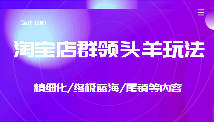 淘宝店群领头羊玩法，精细化/终极蓝海/尾销等内容（第10-12期）插图