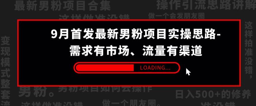 9月首发最新男粉项目实操思路-需求有市场，流量有渠道【揭秘】插图