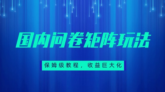 保姆级教程，国内问卷矩阵玩法，轻松赚收益插图
