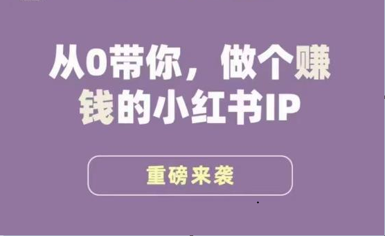 小红书运营大宝典，从0带你做个赚钱的小红书IP插图