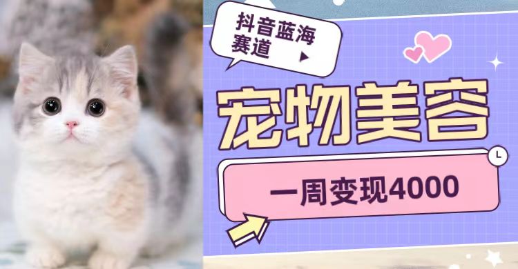 抖音蓝海赛道，宠物美容，一周变现4000插图
