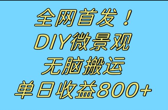 全网首发冷门赛道！DIY微景观，无脑搬运视频，日收益800+插图