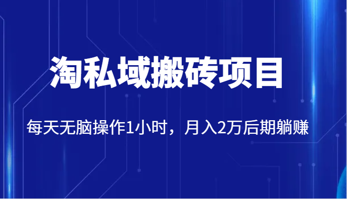 价值2980的淘私域搬砖项目，每天无脑操作1小时，月入2万后期躺赚插图