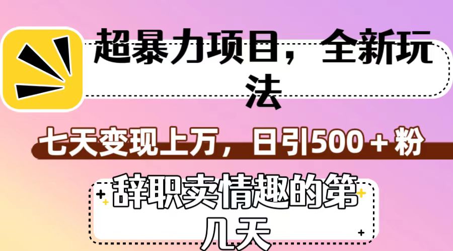 超暴利项目，全新玩法（辞职卖情趣的第几天），七天变现上万，日引500+粉插图