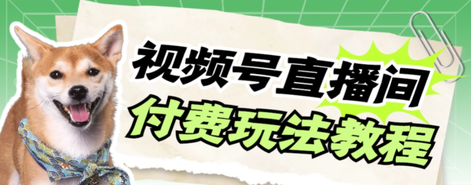 #原创                                                                                                 （7660期）视频号美女付费无人直播，轻松日入500+【详细玩法教程】插图