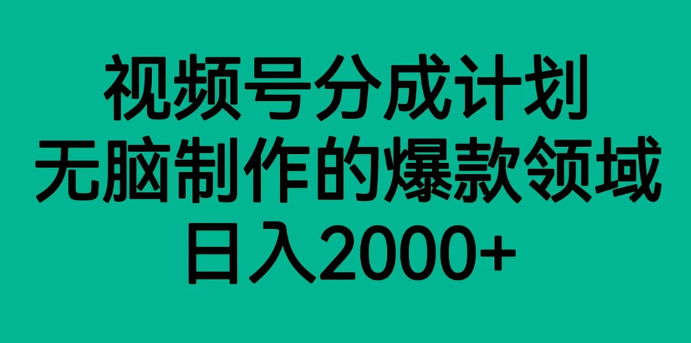 视频号分成计划，轻松无脑制作的爆款领域，日入2000+插图