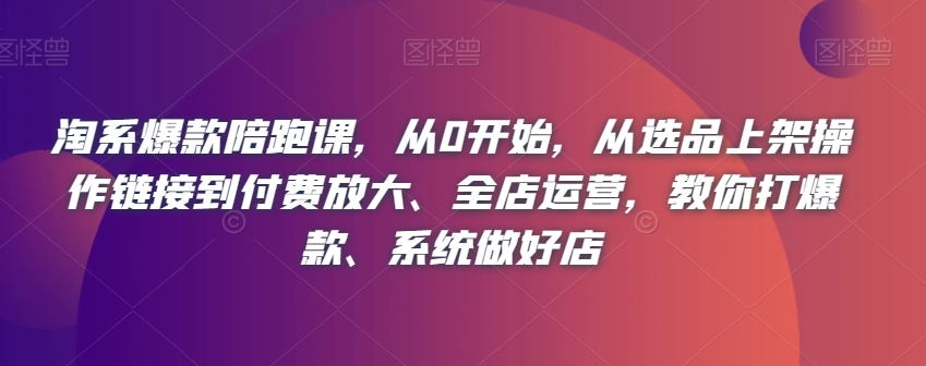 淘系爆款陪跑课，从0开始，从选品上架操作链接到付费放大、全店运营，教你打爆款、系统做好店插图