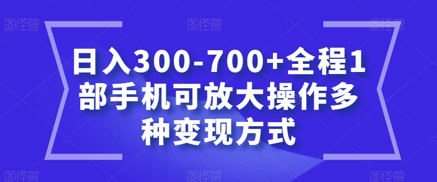 日入300-700+全程1部手机可放大操作多种变现方式【揭秘】插图