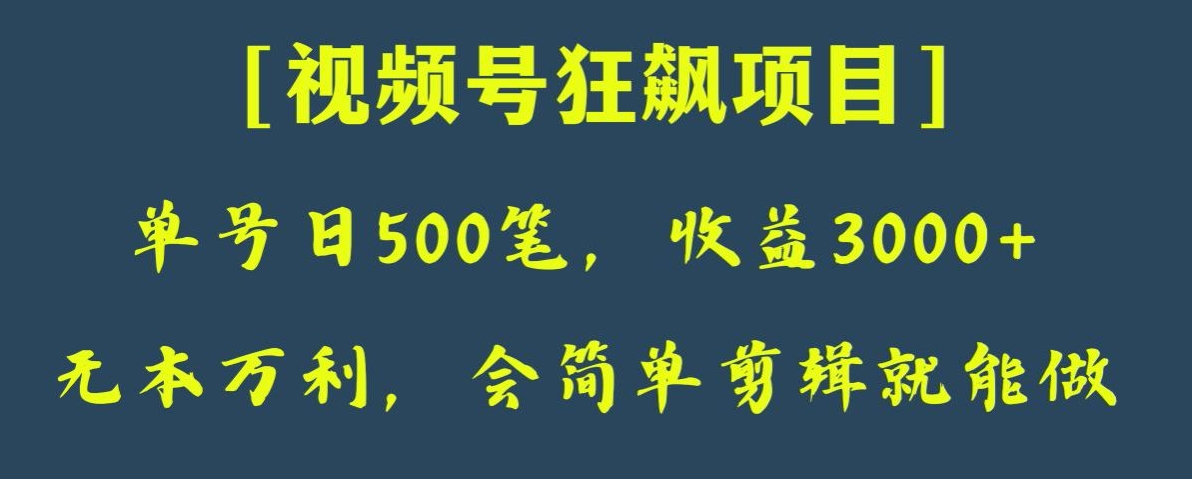 日收款500笔，纯利润3000+，视频号狂飙项目，会简单剪辑就能做【揭秘】插图