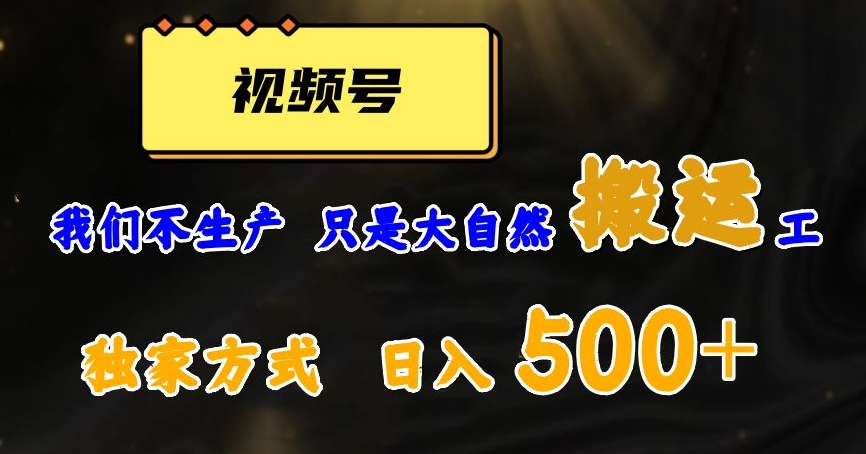 视频号轻松搬运日赚500+，一个1分钟1条原创视频【揭秘】插图