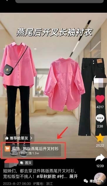 （8212期）AI图文带货项目：不用出镜，不用拍短视频，不用做直播  就能出单，赚取佣金插图2