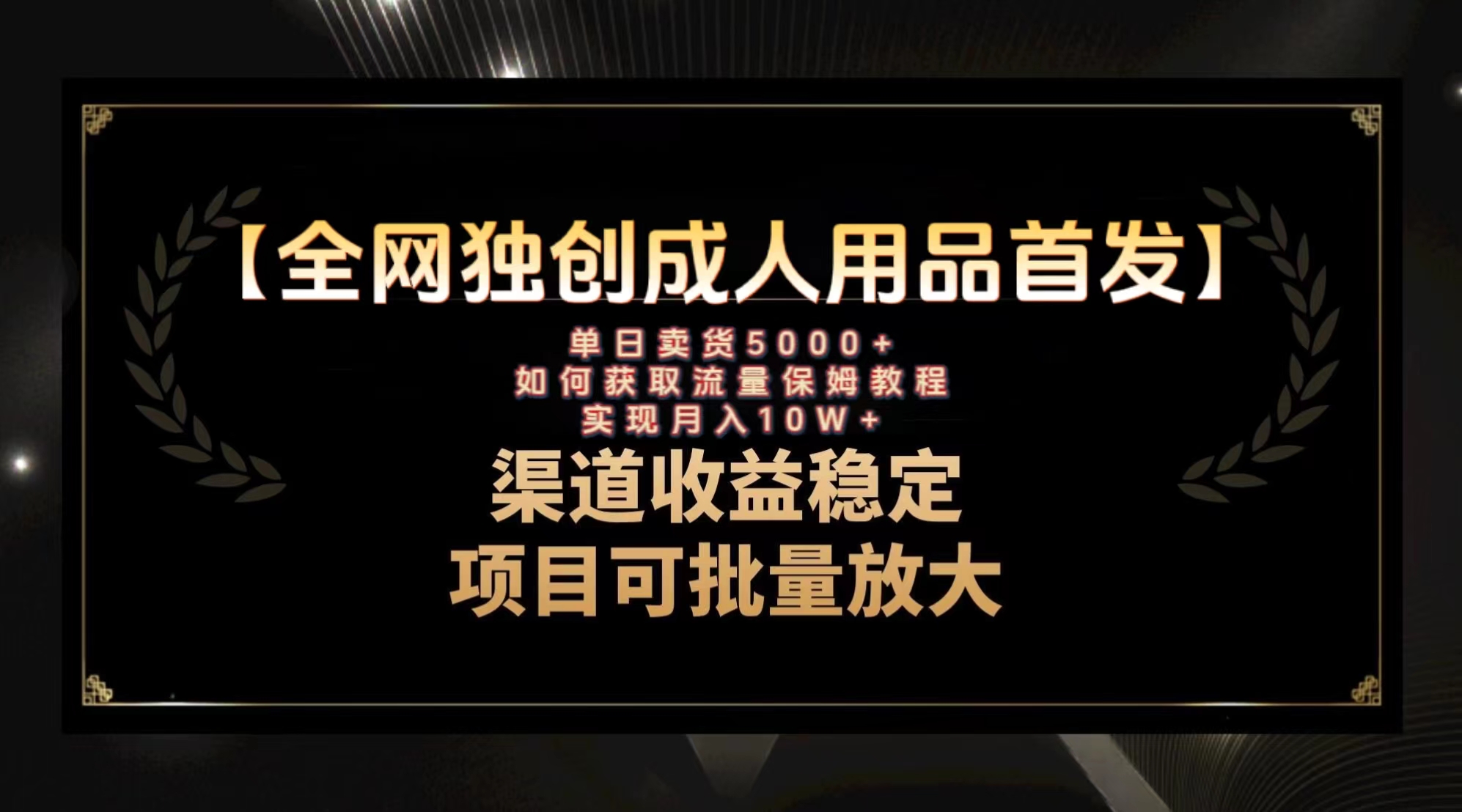 （8128期）最新全网独创首发，成人用品赛道引流获客，月入10w保姆级教程插图