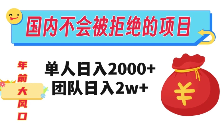在国内不怕被拒绝的项目，单人日入2000，团队日入20000+【揭秘】插图