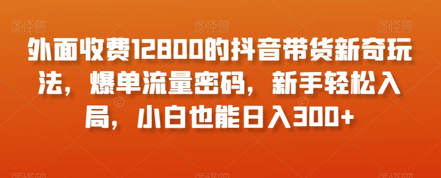 外面收费12800的抖音带货新奇玩法，爆单流量密码，新手轻松入局，小白也能日入300+【揭秘】插图