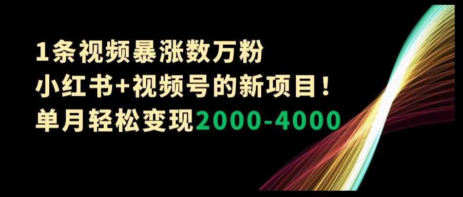 1条视频暴涨数万粉–小红书+视频号的新项目！单月轻松变现2000-4000【揭秘】插图