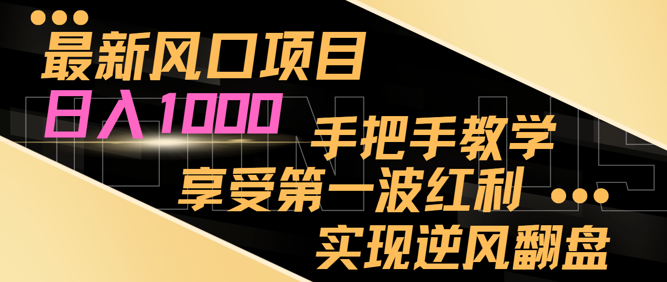 最新风口项目，日入1000，手把手教学，享受第一波红利，实现逆风翻盘插图
