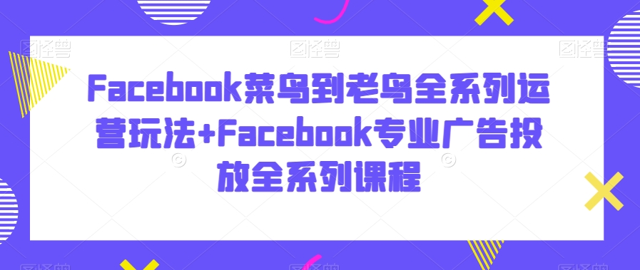 Facebook菜鸟到老鸟全系列运营玩法+Facebook专业广告投放全系列课程插图