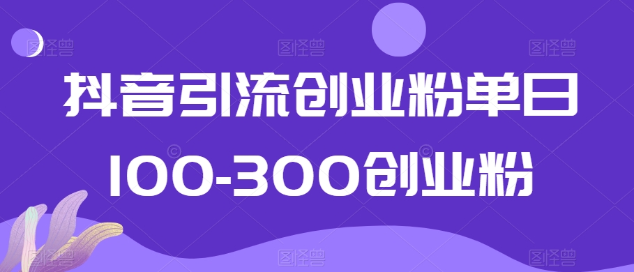抖音引流创业粉单日100-300创业粉插图