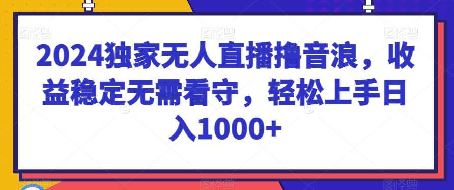 2024独家无人直播撸音浪，收益稳定无需看守，轻松上手日入1000+插图