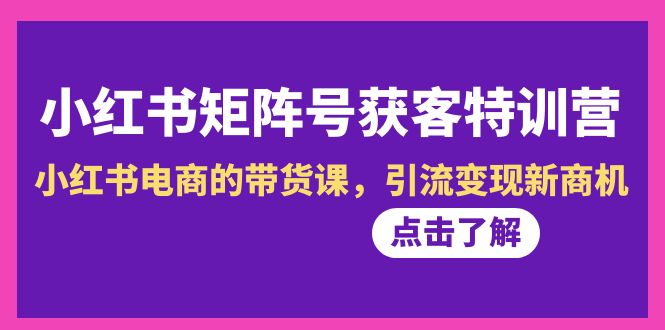 （8909期）小红书-矩阵号获客特训营-第10期，小红书电商的带货课，引流变现新商机插图